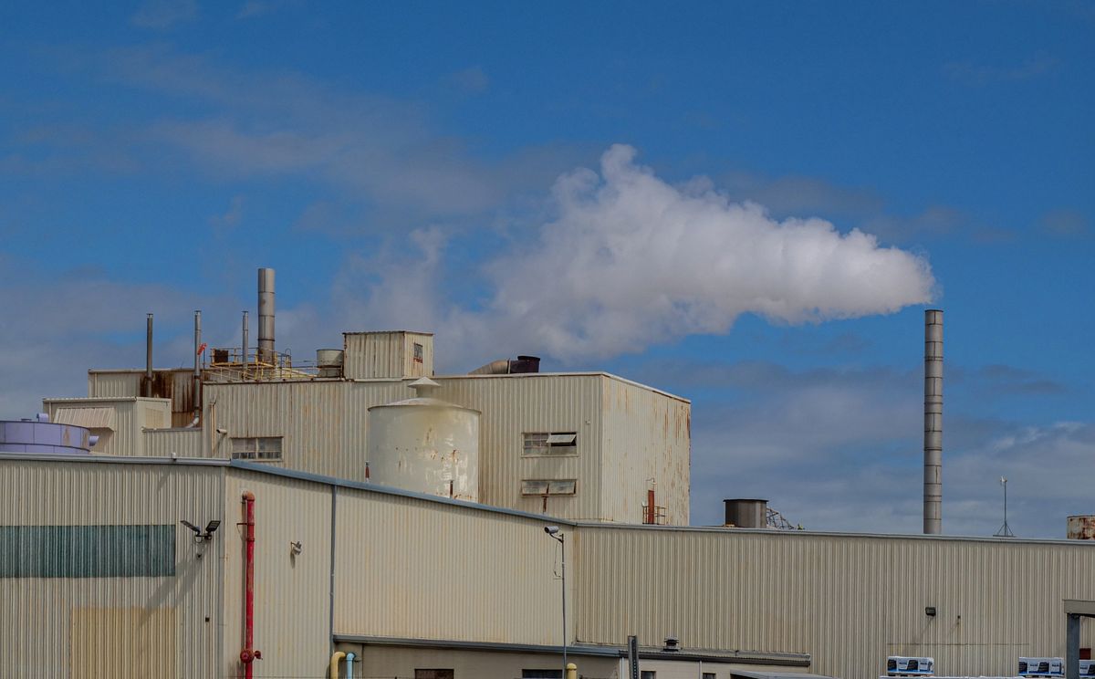 Quotas CO2 gratuits : le Parlement européen vole au secours des industries grosses consommatrices de chaleur